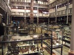 Pitt Rivers Collection, Oxford University Museum Natural History